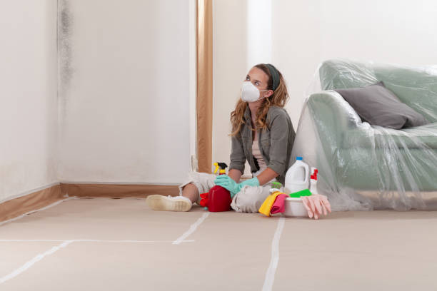 Reliable Mold Inspection And Testing contractor in Siler City, NC by Mold Remediation HQ