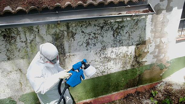 Top rated local Mold Inspection And Testing specialists in Siler City, NC